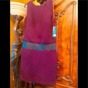NWT Lauren By Ralph Lauren Dress